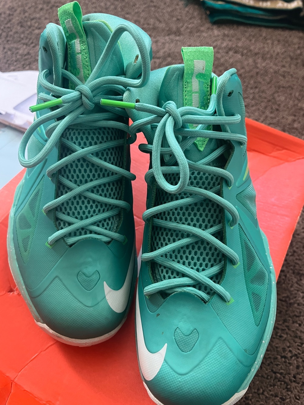 Nike Kids Teal/Turquoise Basketball Sneakers with White Swoosh